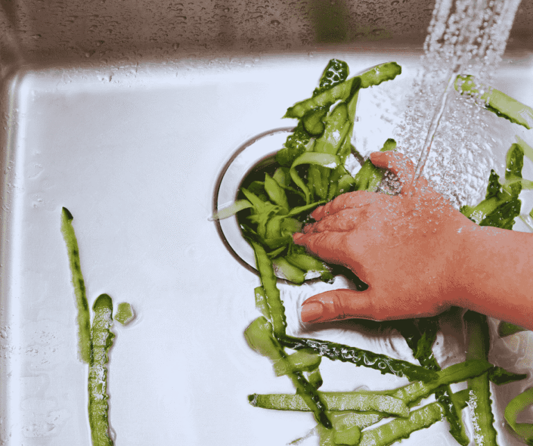 repairs for garbage disposal ventura ca